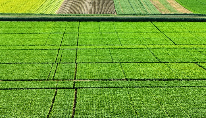 Compost for Large-Scale Farming: Cut Costs & Build Resilience
