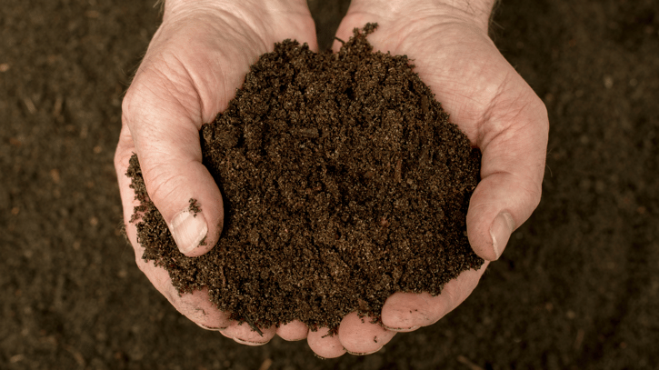 Compost for Sale: Tips for Finding the Good Stuff