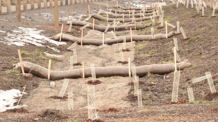 Erosion Control 101: How Compost Can Protect Your Soil and Waterways