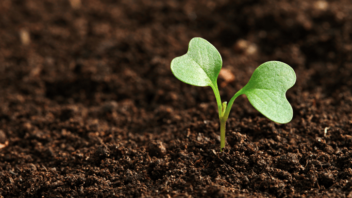 Soil Health in Oklahoma: Save Money & Build Resilient Landscapes